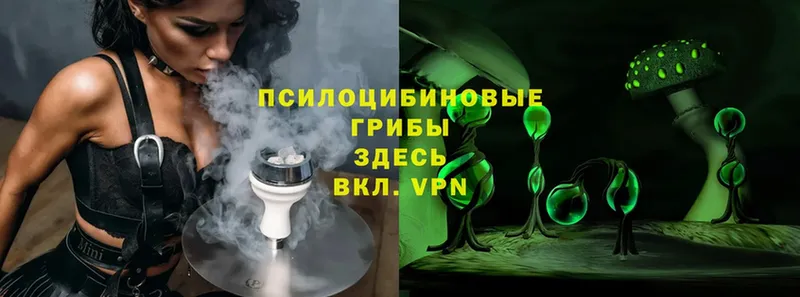 blacksprut ССЫЛКА  где найти   Киселёвск  Псилоцибиновые грибы MAGIC MUSHROOMS 